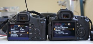 SONY DSC