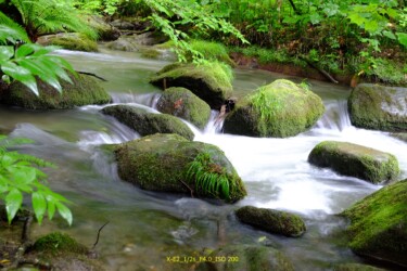 白神山地、奥入瀬、八甲田旅行