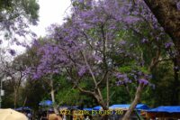 20160430-154107-DSCF4498