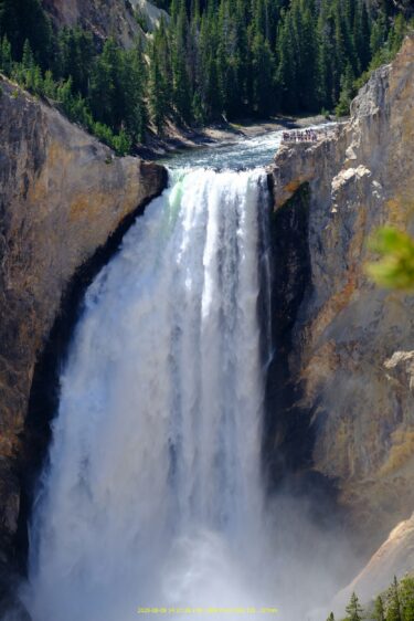 イエローストーンその3　マンモス-キャニオン-レイク　2025/8/9