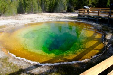 イエローストーンその6　アッパーガイザーからYSHへ戻る　　2025/8/12